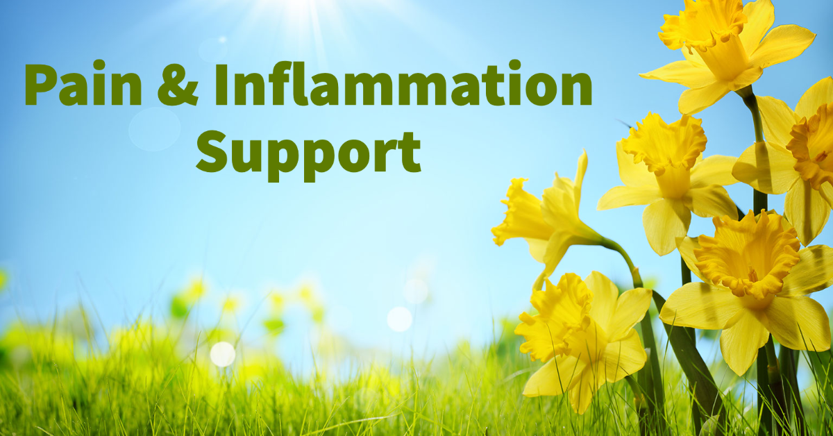 DesBio Pain & Inflammation Support