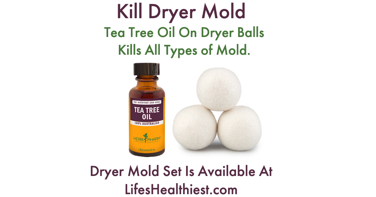 Kill Dryer Mold