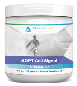 Metabolic Code Gut Health - 0
