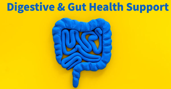 Digestive & Gut Health Support