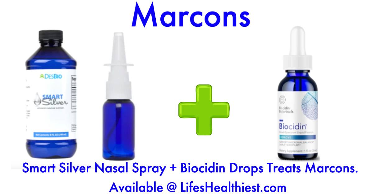 Mold-Fungus-Marcons (Sinus/Nasal Cavity)