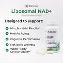 DesBio Liposomal NAD+-1
