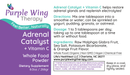 Purple Wing Therapy ADRENAL CATALYST+ VITAMIN C Whole Food Powder 8.0 oz (Restore Adrenals and Replenish Electrolytes)