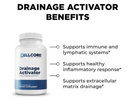 Cellcore Drainage Activator Benefits