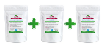 DesBio MOLD ILLNESS Symptom Series Relief Protocol