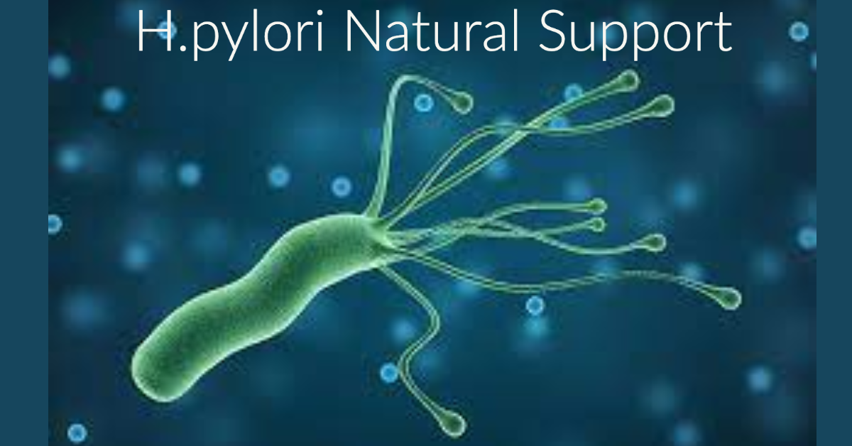 H.pylori Natural Support