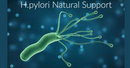 H.pylori Natural Support-1