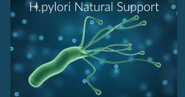 H.pylori Natural Support