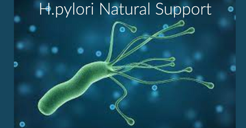 H.pylori Natural Support