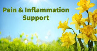 Pain & Inflammation Support