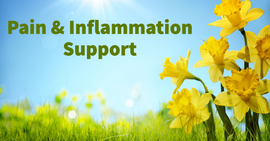 DesBio Pain & Inflammation Support