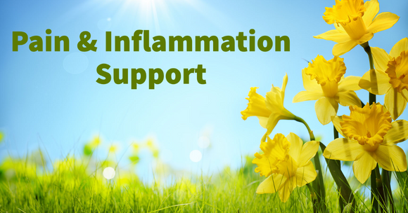 DesBio Pain & Inflammation Support