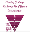 DesBio Drainage Cycling Kit For Effective Detoxification-9