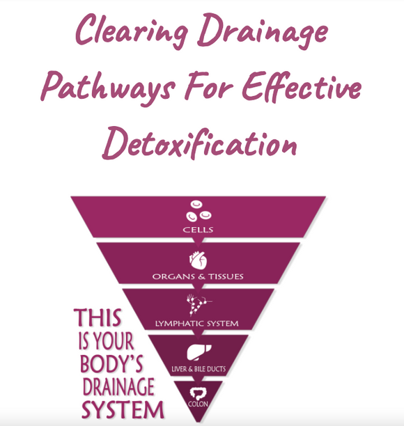 DesBio Drainage Cycling Kit For Effective Detoxification